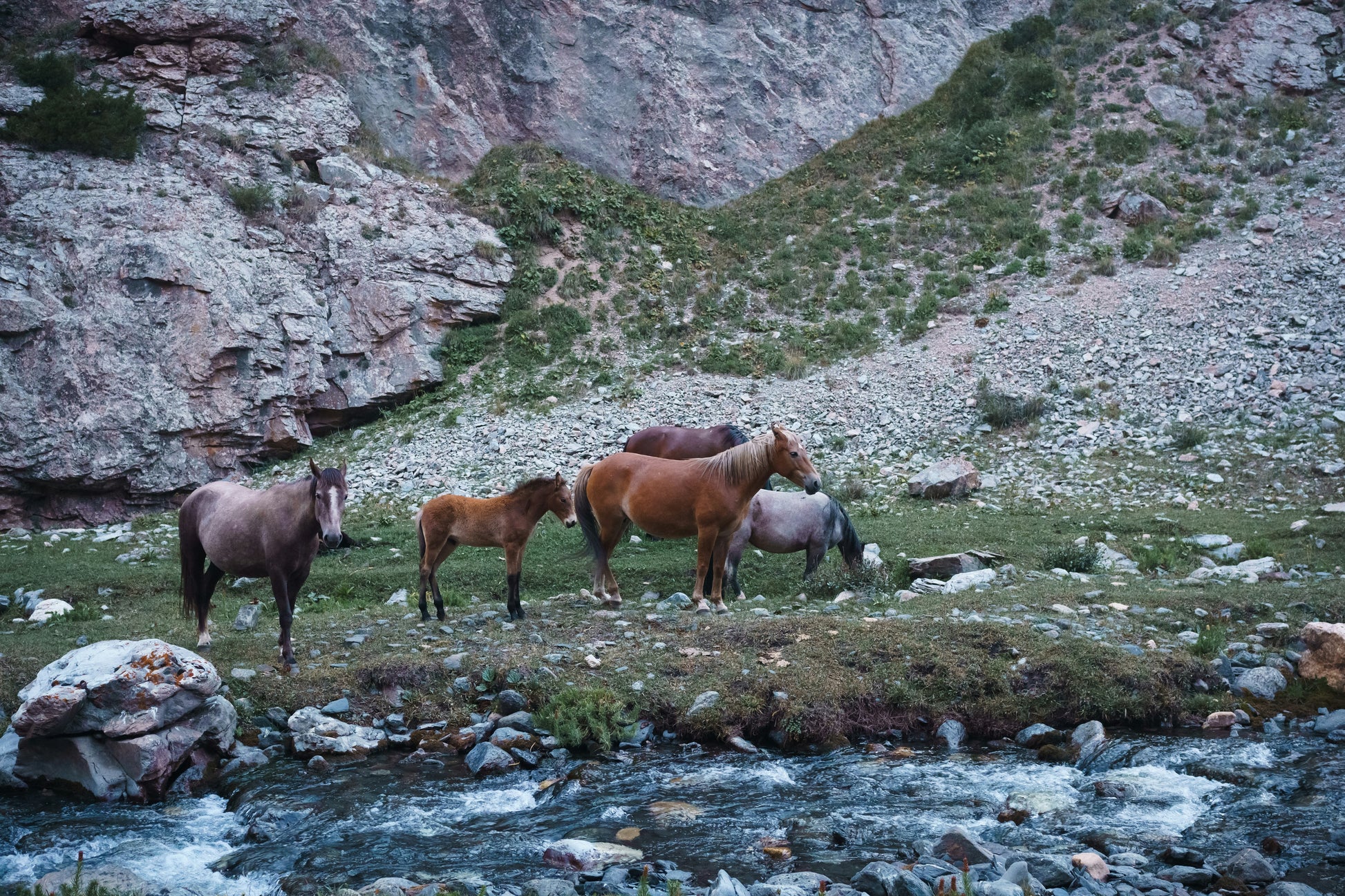 SILK ROUTE TOUR