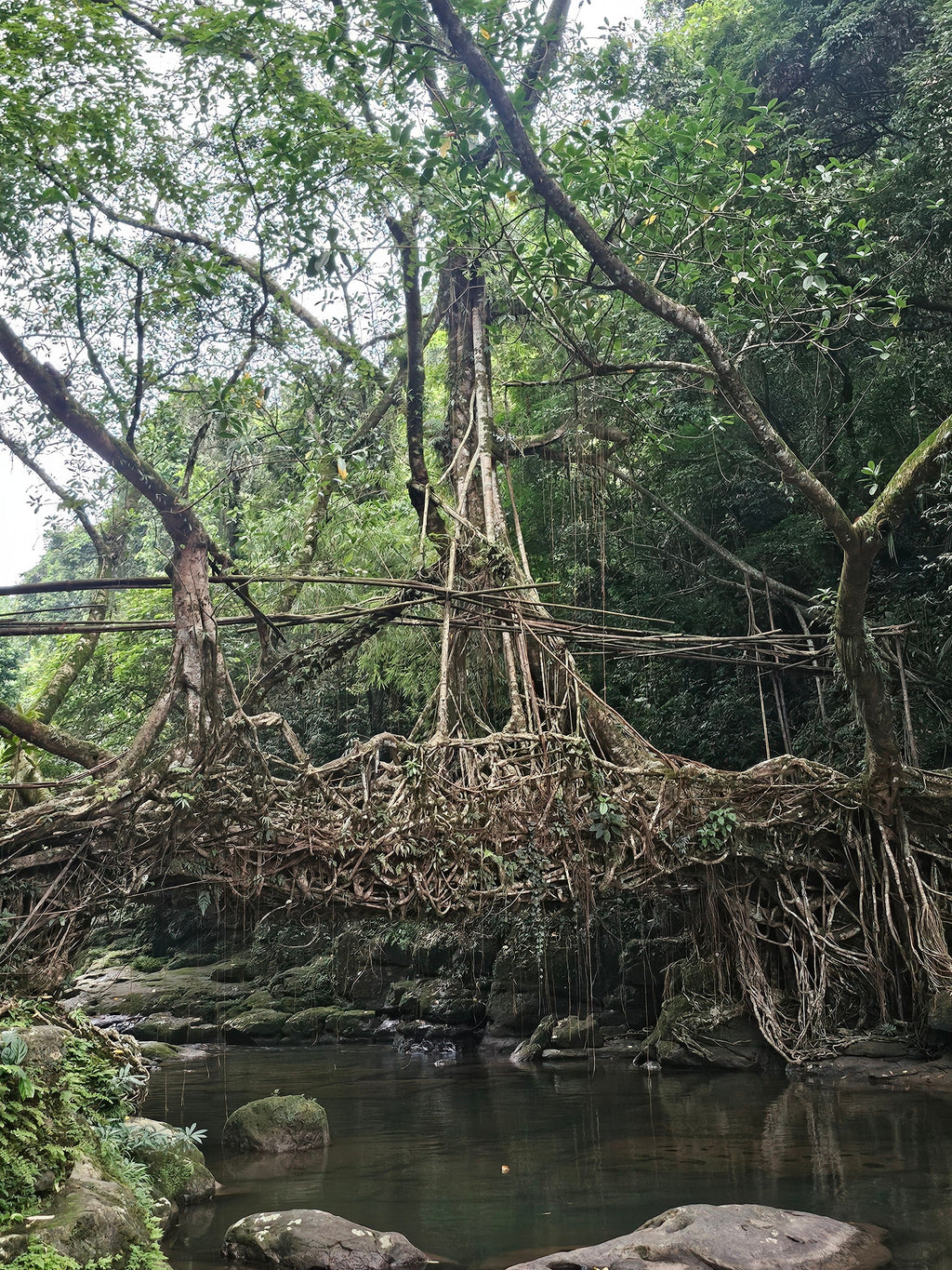Monsoon Meghalaya Backpack