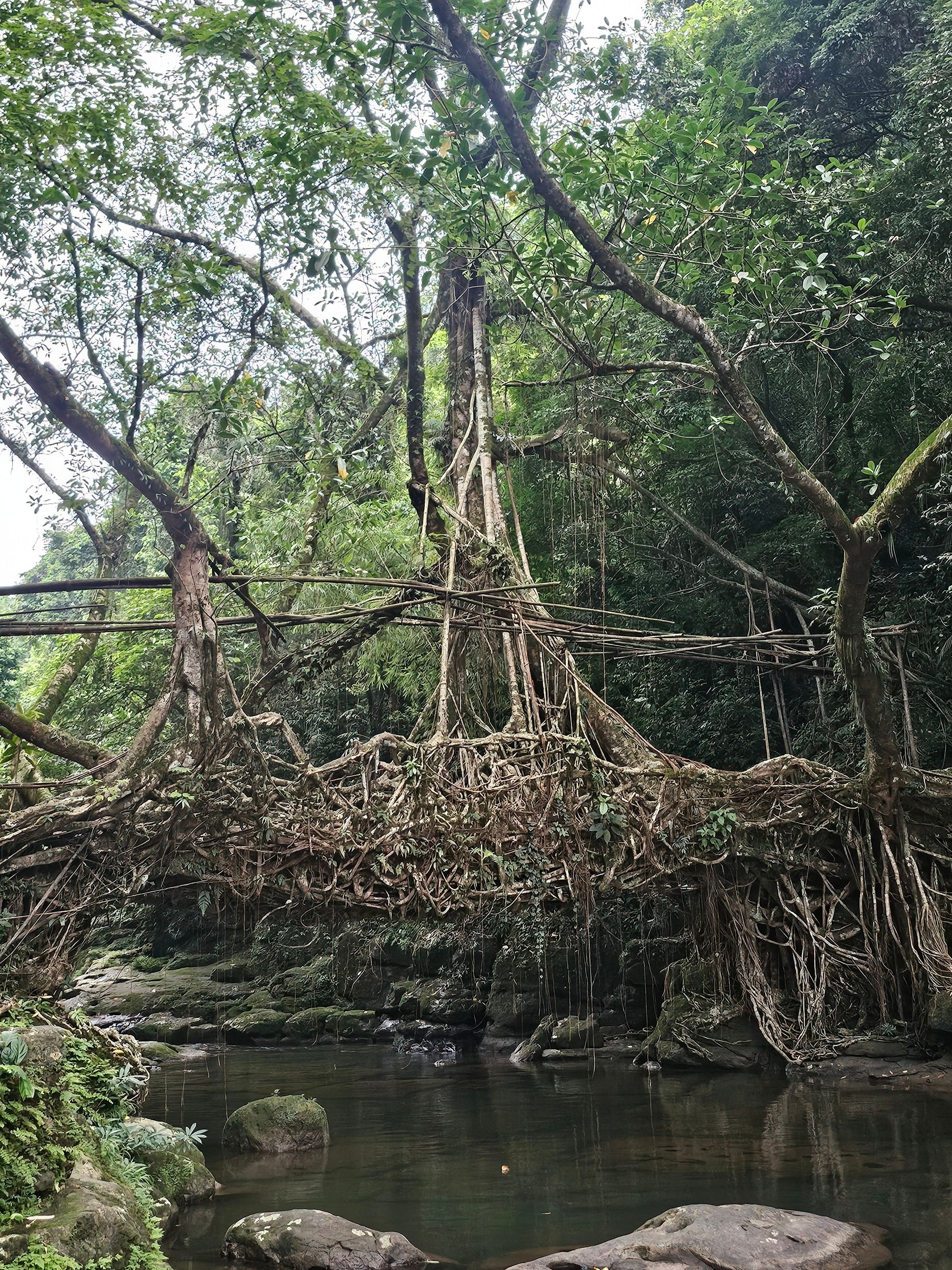 Monsoon Meghalaya Backpack