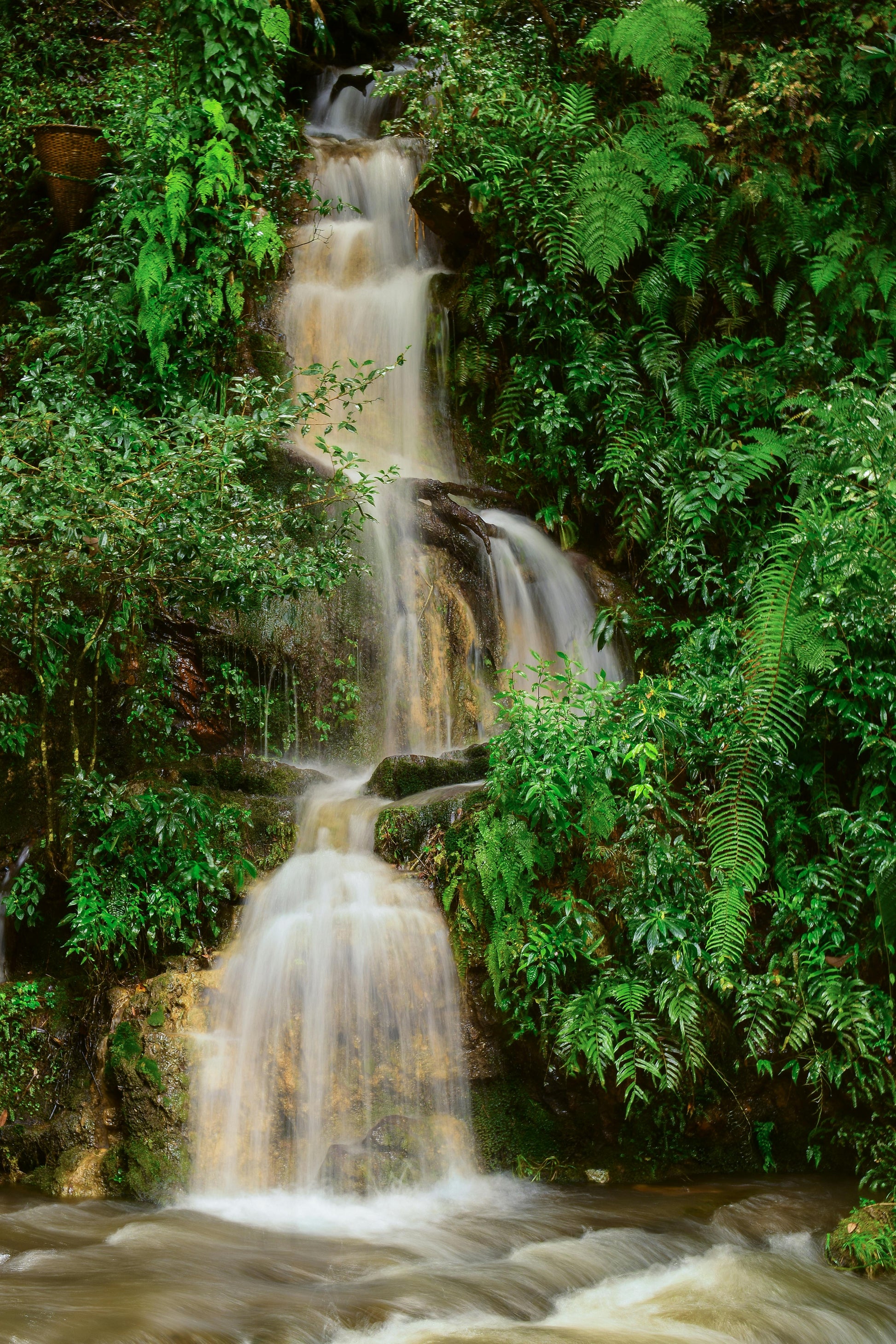 Meghalaya