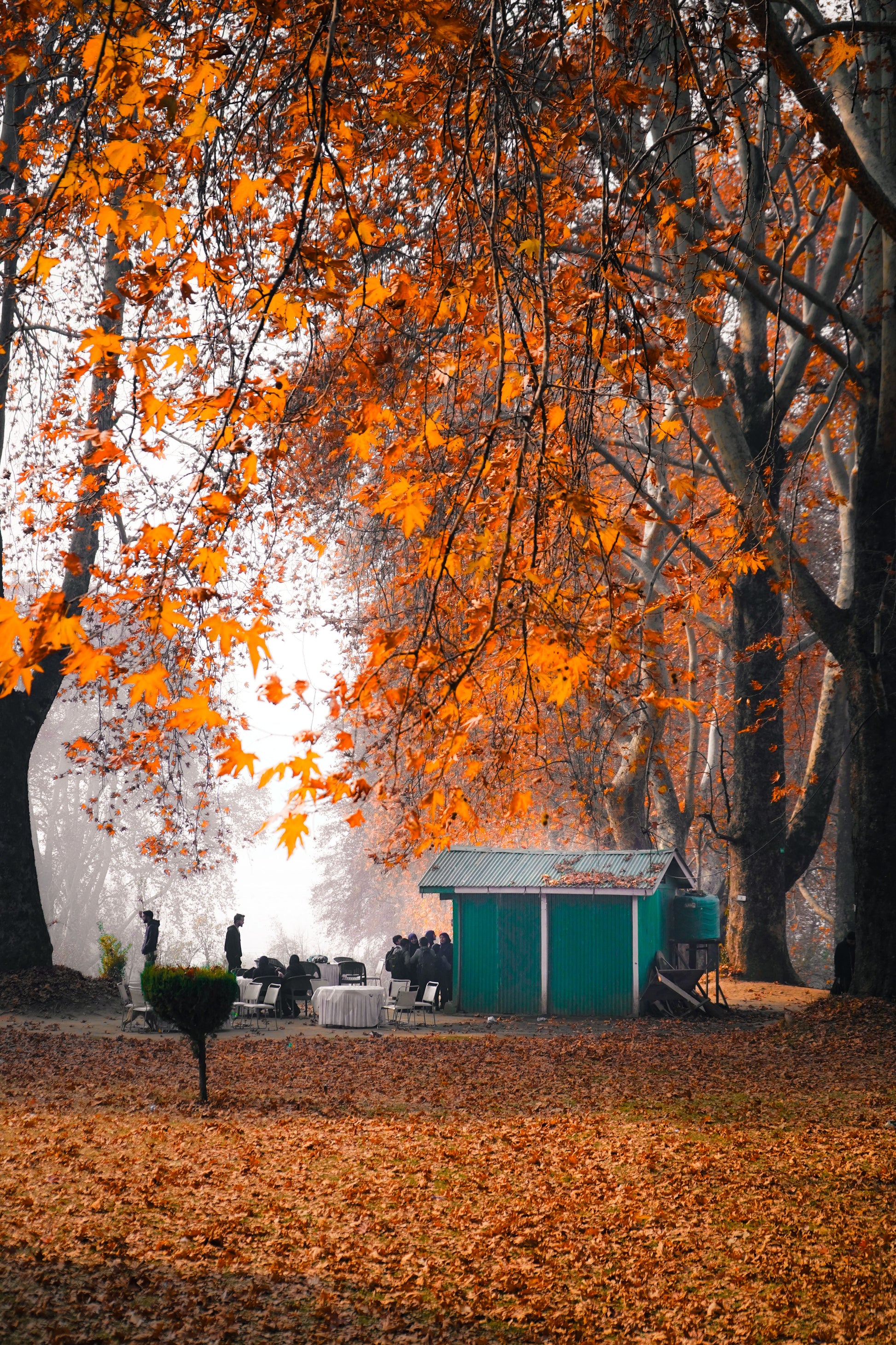 KASHMIR | 5N/6D