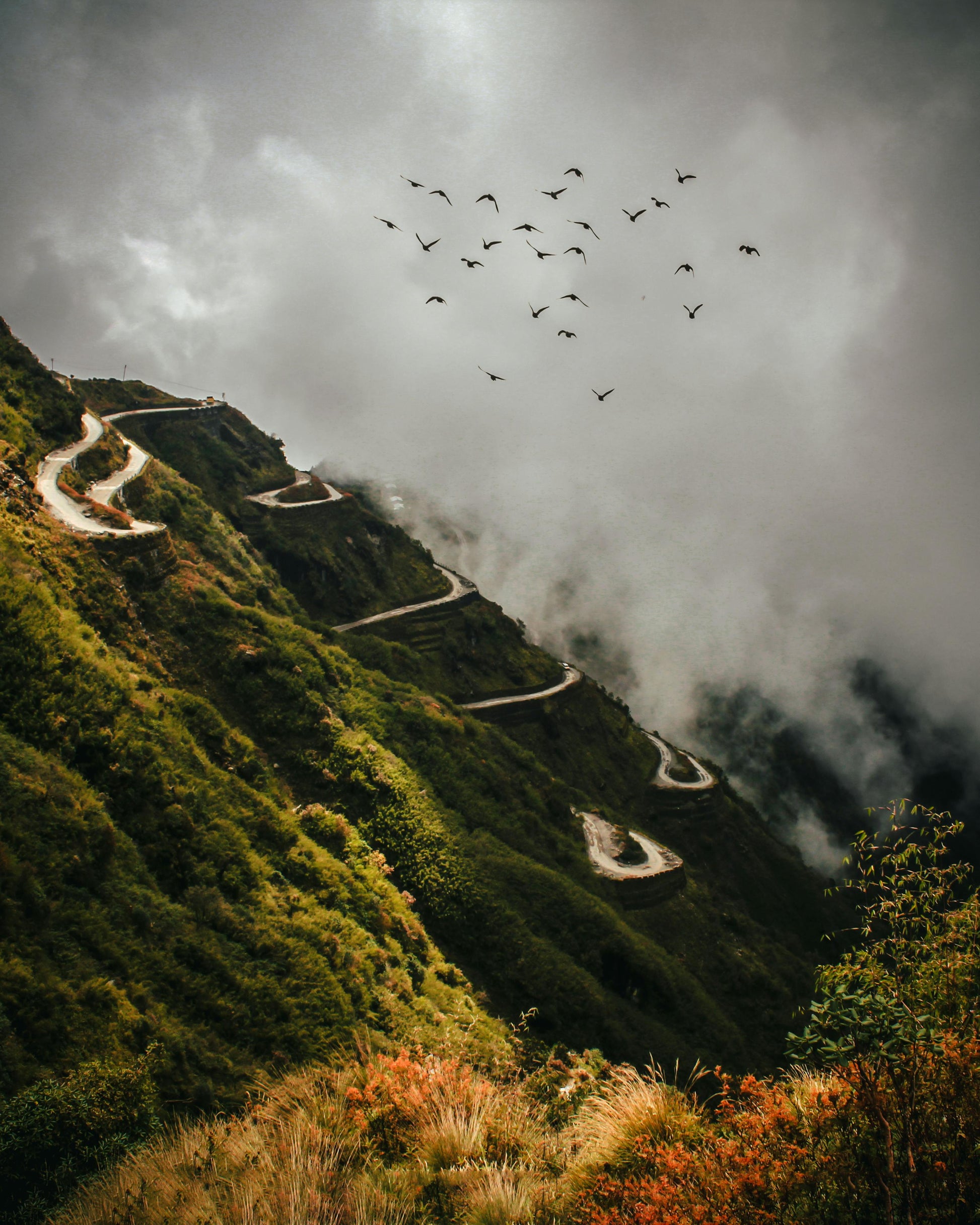 Sikkim