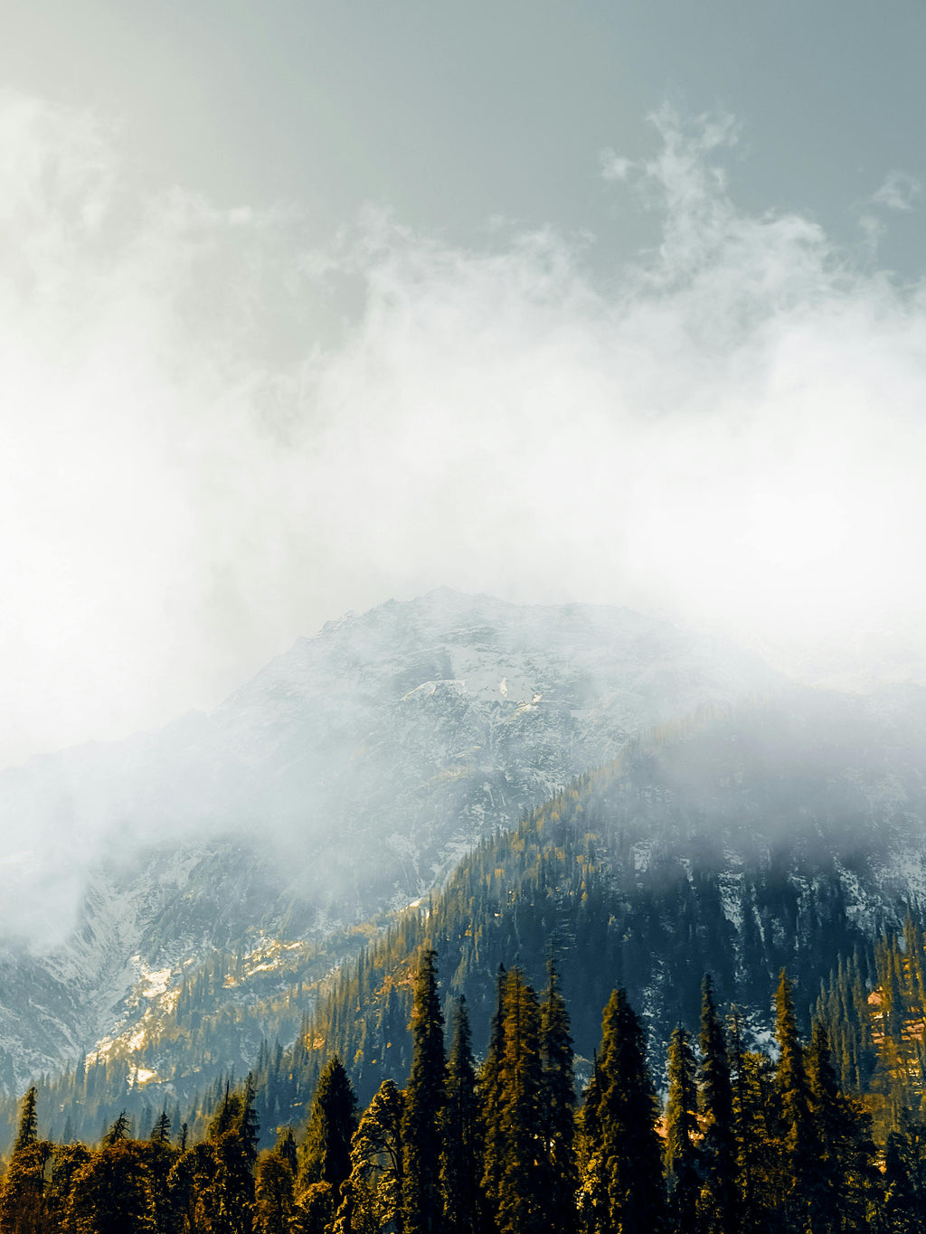 MANALI - KASOL | Group Departure | 5N/6D | Delhi To Delhi