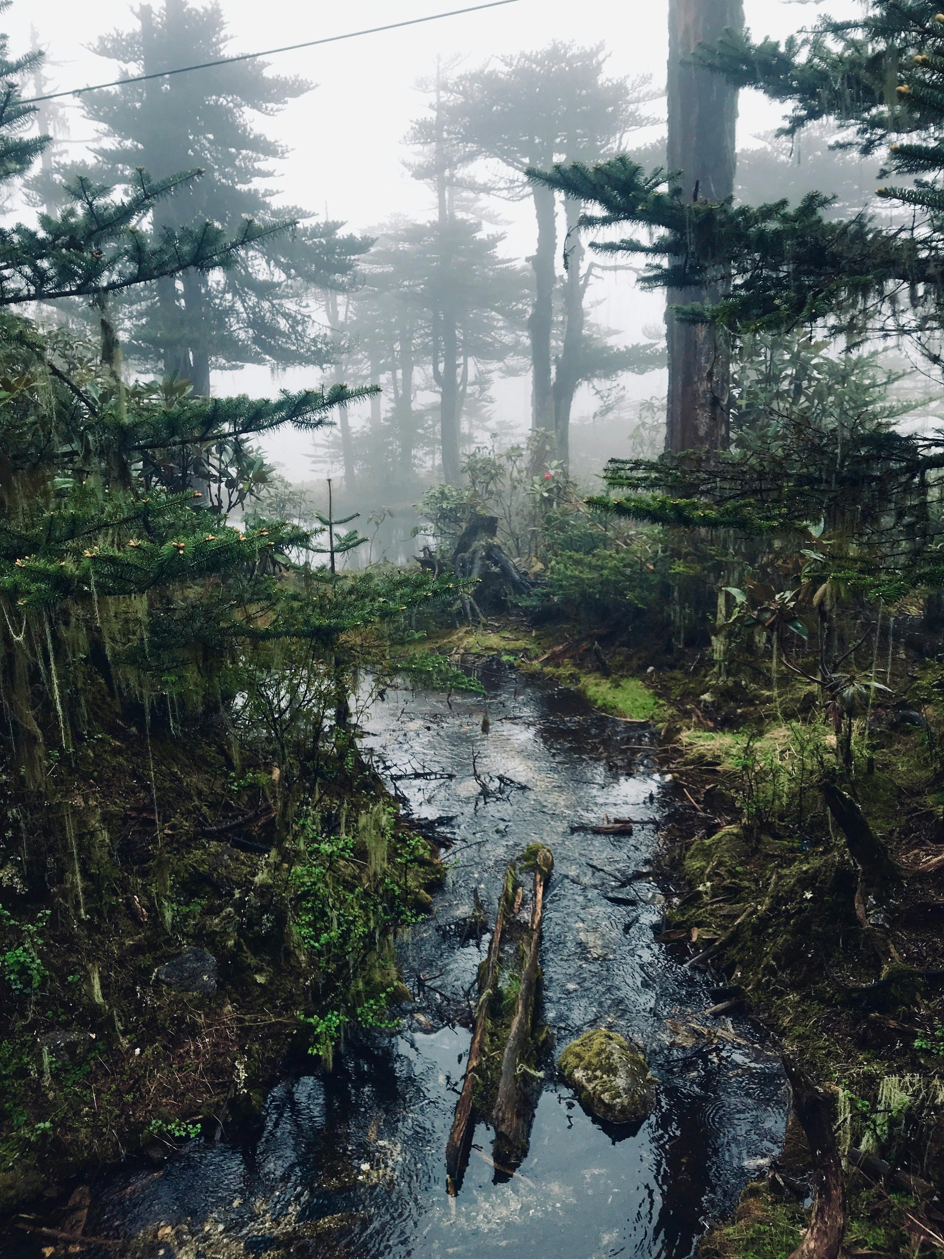 Tawang