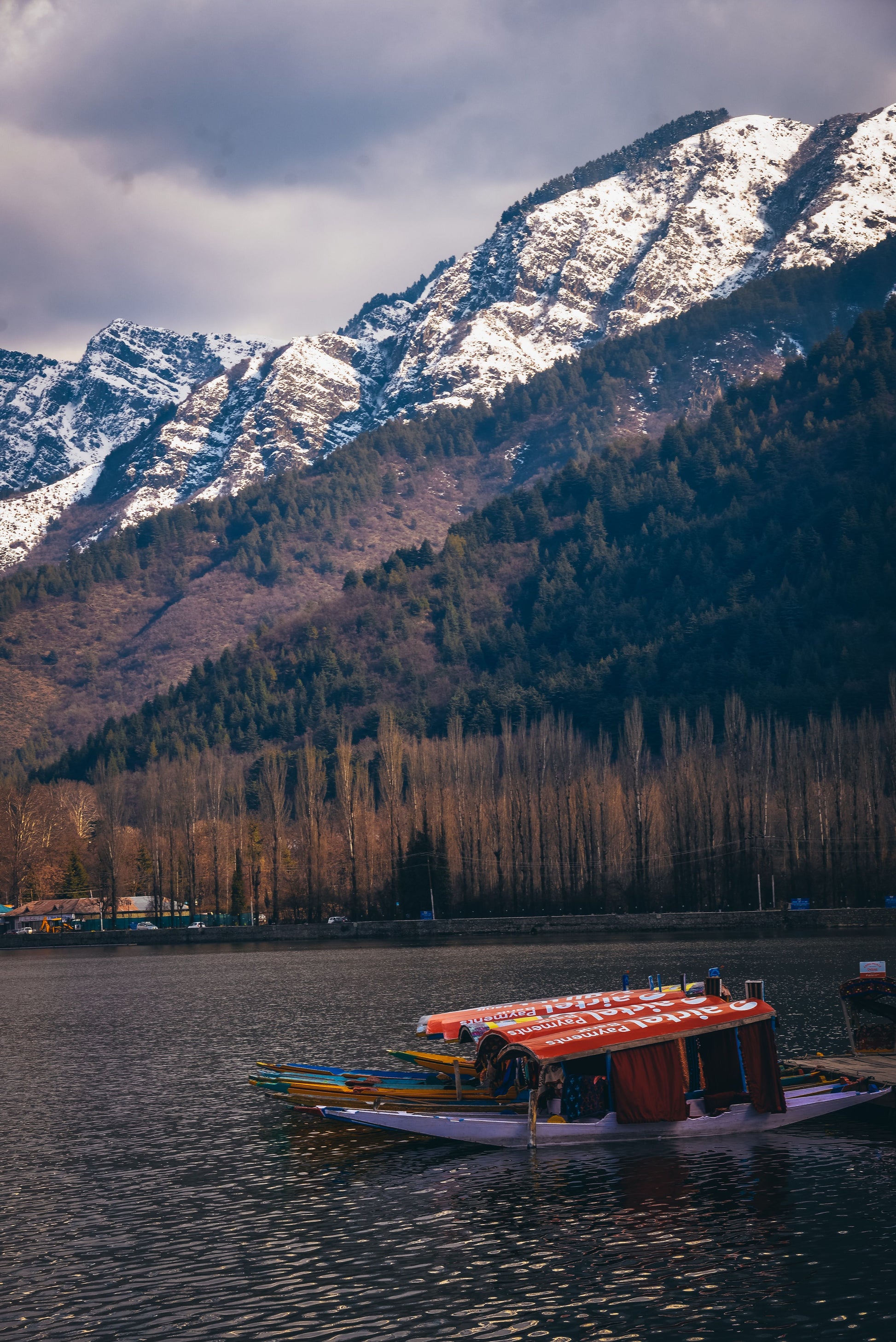 KASHMIR | 5N/6D