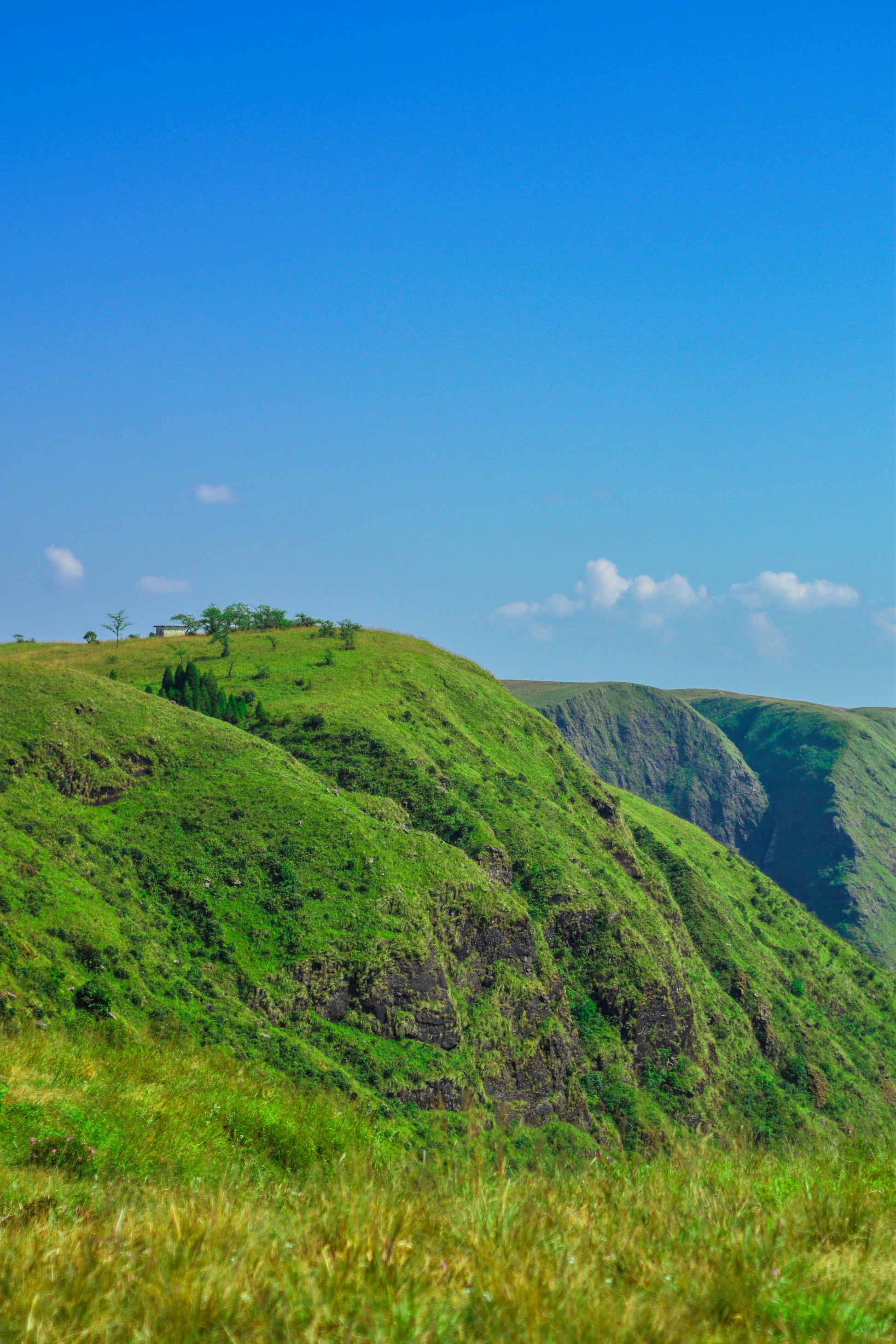 Meghalaya