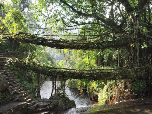 Group Departure | Meghalaya